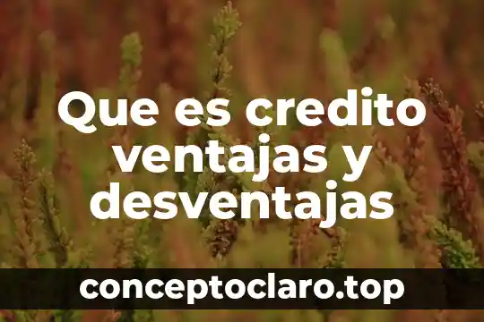 Que es credito ventajas y desventajas