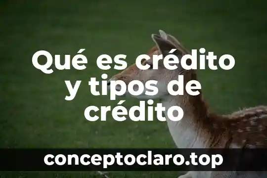Qué es crédito y tipos de crédito