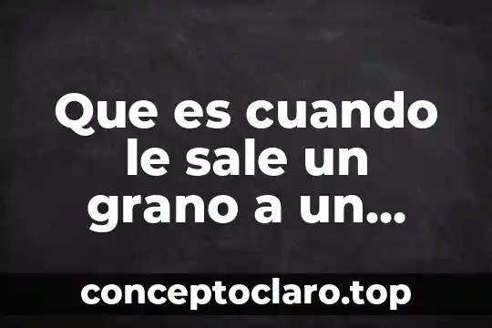 Cuando la prueba de embarazo sale lineas distintas que es 7 Que es cuando le sale un grano a un erizo