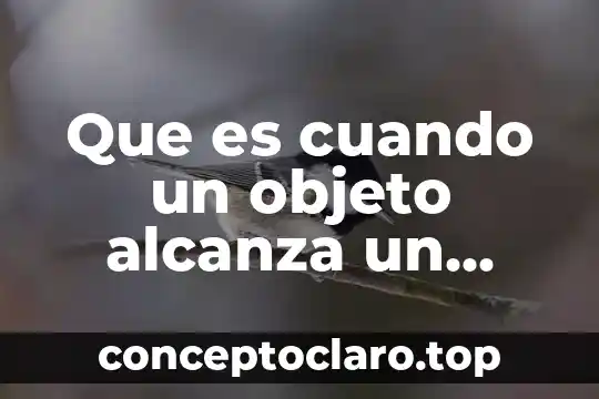 Que es cuando un objeto alcanza un equilibrio termico