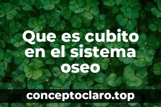 Que es tear down en un sistema de calidad 6 Que es cubito en el sistema oseo