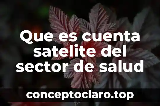 Que es cuenta satelite del sector de salud