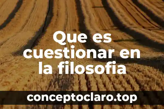 Que es cuestionar en la filosofia