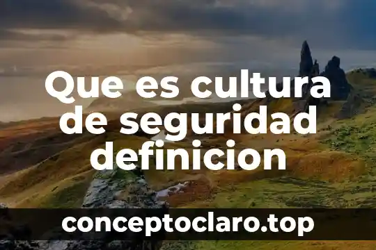 Que es cultura de seguridad definicion