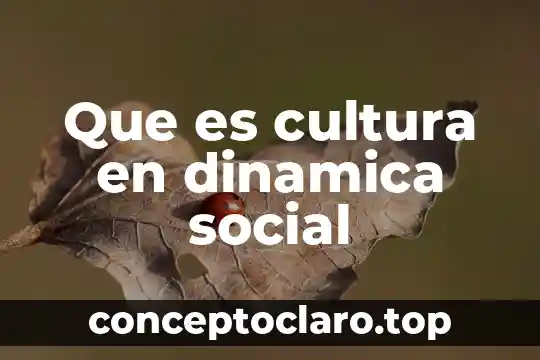 Que es induccion social 7 Que es cultura en dinamica social