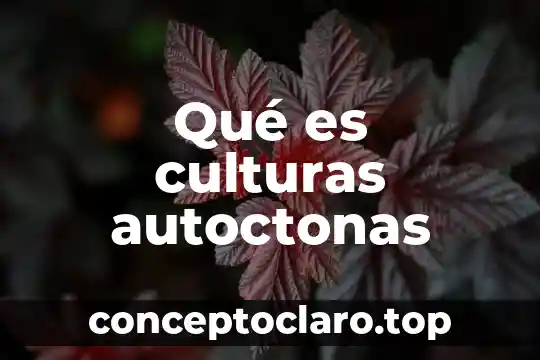 Que es culturas emergentes concepto y definicion 4 Qué es culturas autoctonas