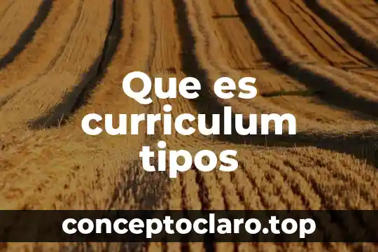 Que es curriculum tipos