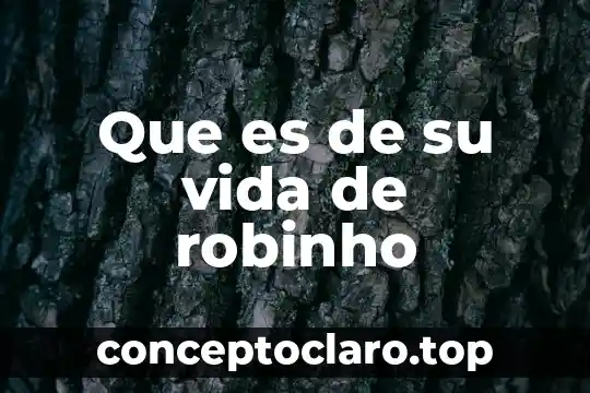 Que es de su vida de robinho