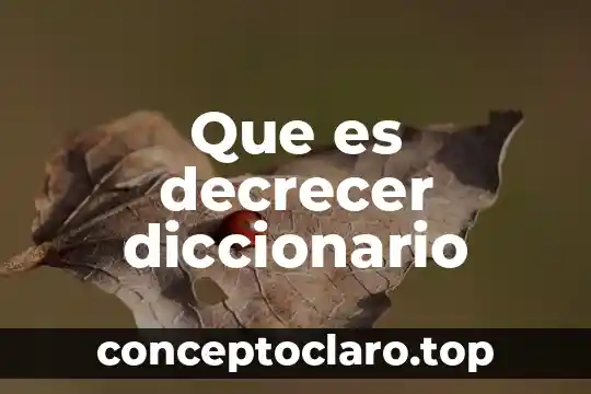 Qué es reliquia en el diccionario 4 Que es decrecer diccionario