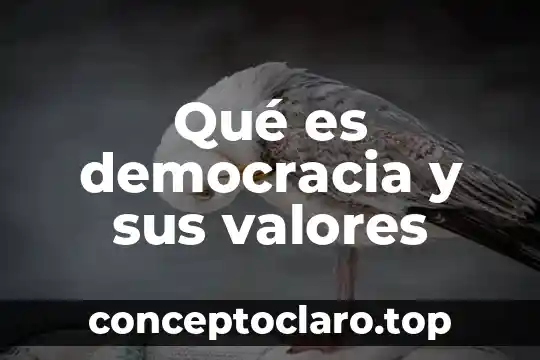 Qué es democracia y sus valores