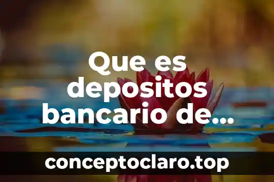 Que es depositos bancario de titulos en operaciones de credito
