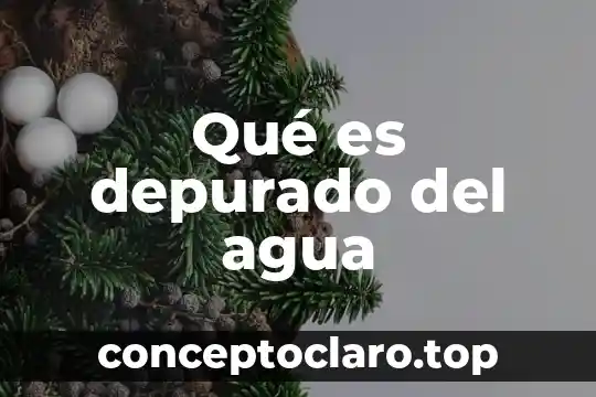Que es flan dea agua 3 Qué es depurado del agua