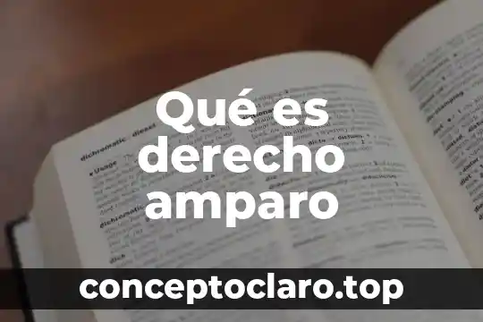 Que es oficina publica de comunicaciones en amparo 8 Qué es derecho amparo