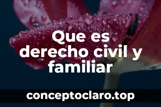 Que es derecho civil y familiar