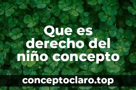 Que es avasallar concepto 6 Que es derecho del niño concepto