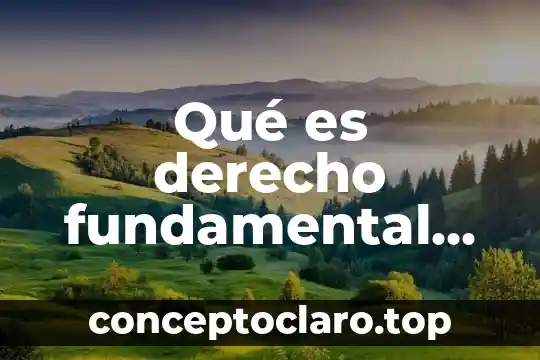 Concepto que es jurisprudencia en derecho mexicano 8 Qué es derecho fundamental frente a los particulares
