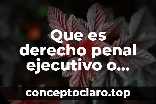 Que es derecho penal ejecutivo o penitenciario