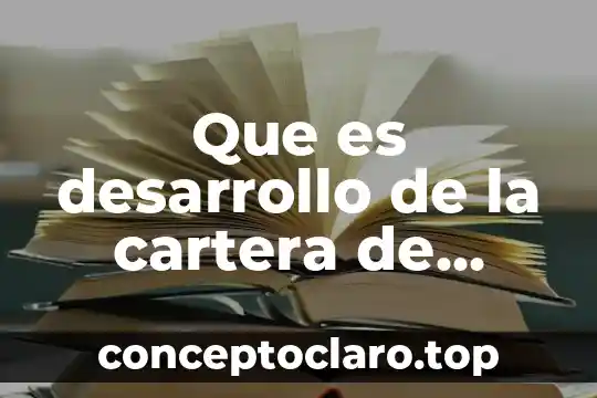 Que es desarrollo de la cartera de cliente