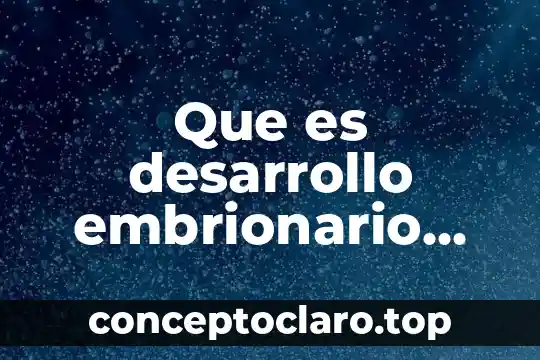 Qué es el esquema corporal en el desarrollo del niño 4 Que es desarrollo embrionario del feto