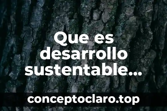 Que es desarrollo sustentable libro