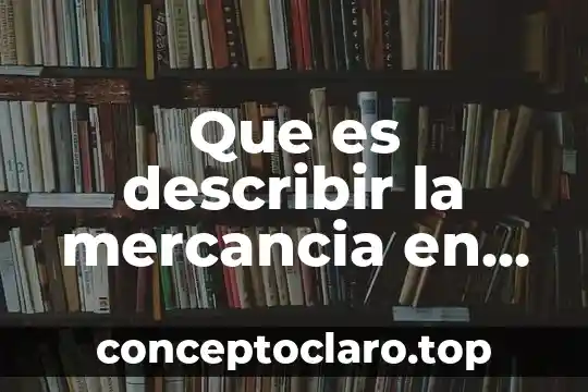 Que es describir la mercancia en concepto mercantil