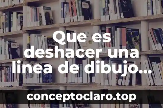 Que es deshacer una linea de dibujo en sketchup
