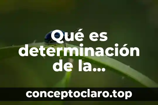 Que es figura literaria y tipo ejemplo 7 Qué es determinación de la estructura de una obra literaria