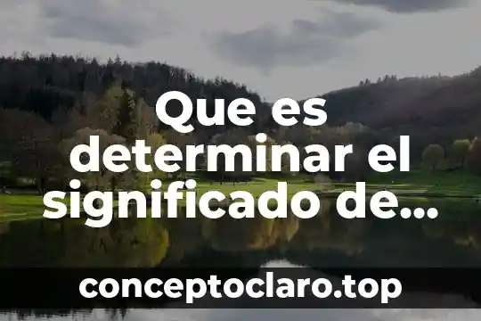 Que es determinar el significado de las palabras