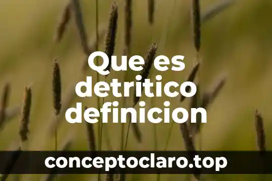Que es detritico definicion