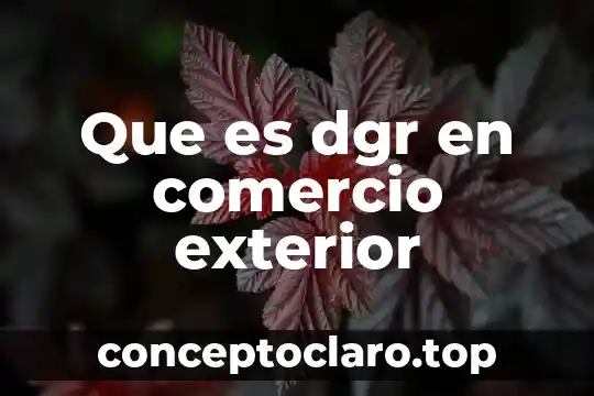 Que es dgr en comercio exterior