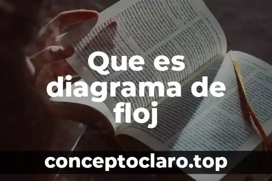 Que es diagrama de floj