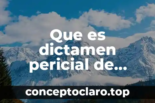 Que es ell dictamen de estudio de riesgos 4 Que es dictamen pericial de causalidad vial para que sirve