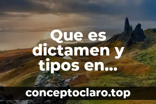 Que es dictamen pericial de causalidad vial para que sirve 3 Que es dictamen y tipos en auditoria