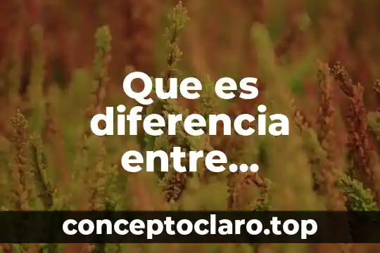 Que es sinalefa significado 8 Que es diferencia entre desplazamiento distancia y corrida significado