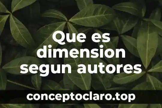 Que es dimension segun autores