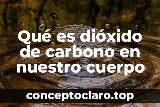Qué es dióxido de carbono en nuestro cuerpo