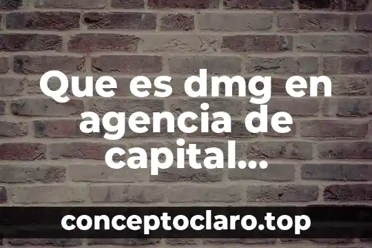 Que es dmg en agencia de capital humano