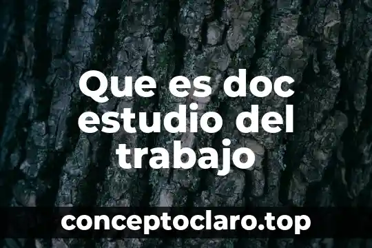 Que es doc estudio del trabajo