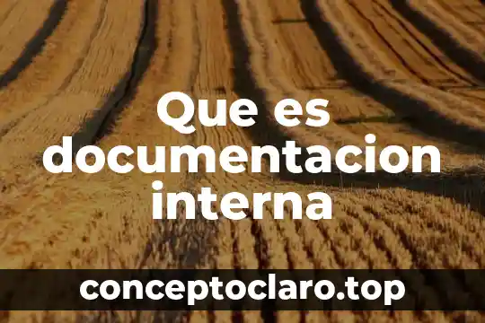 Analepsis interna homodiegética que es 8 Que es documentacion interna