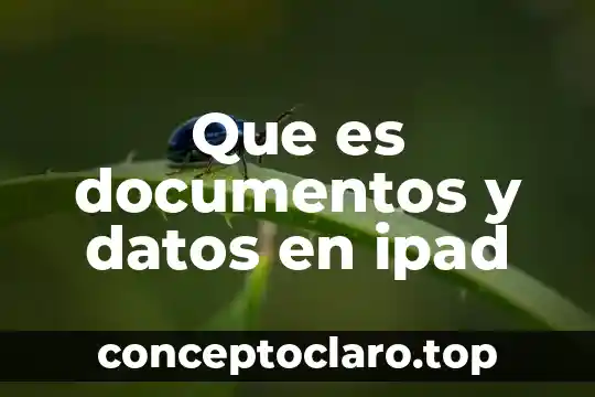 Que es documentos y datos en ipad