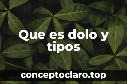 Que es dolo y tipos
