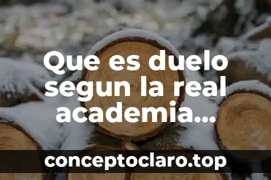 Que es duelo segun la real academia española