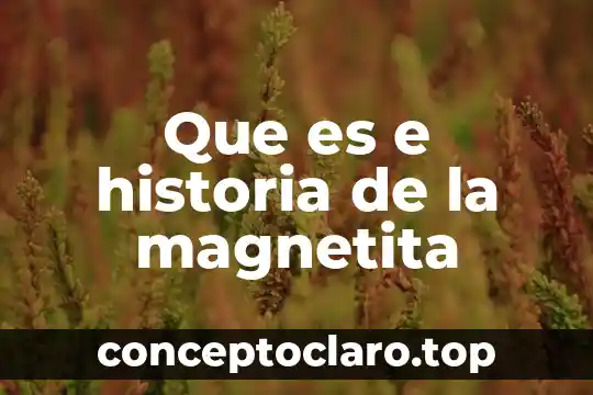 Que es e historia de la magnetita