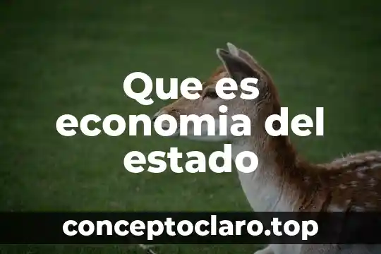 Que es el estado sus tipos 4 Que es economia del estado