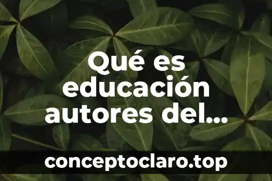 Qué es educación autores del siglo XXI concepto