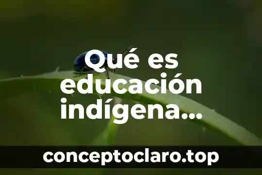 Qué es educación indígena sustentado con autores