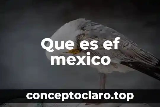 Que es ef mexico