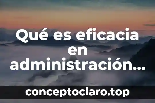 Que es administracion via parenteral 5 Qué es eficacia en administración pública