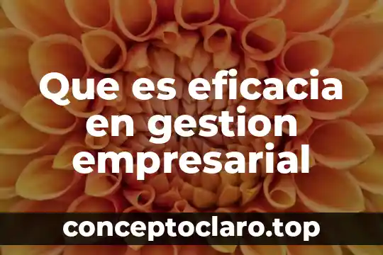 Que es eficacia en gestion empresarial