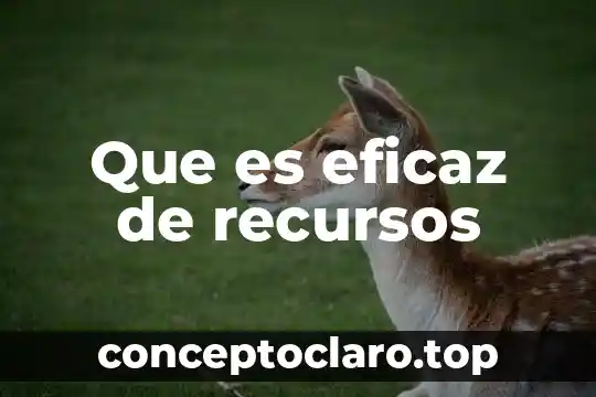 Que es eficaz de recursos